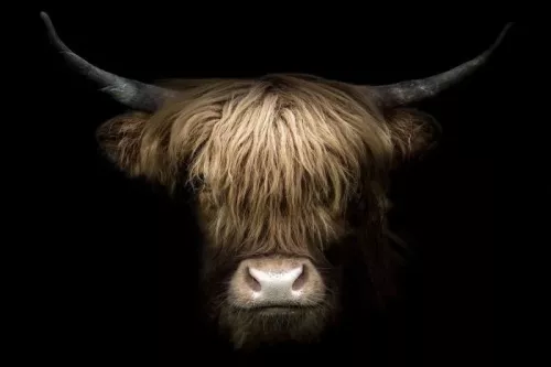 Uniek en handgemaakt  Hoogland 120x80cm