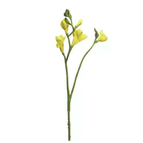 Uniek en handgemaakt  Freesia floramunda geel 65cm