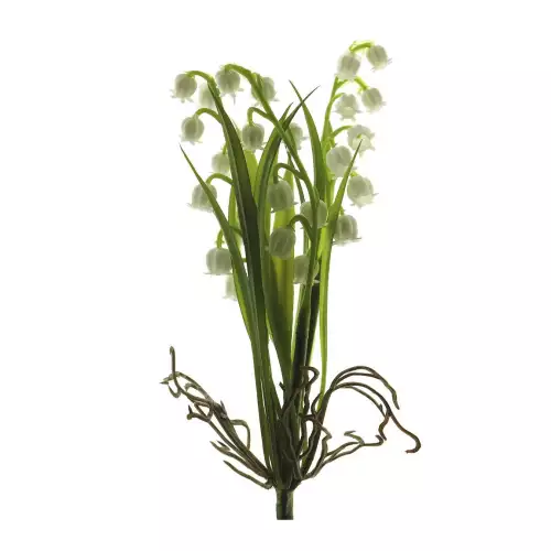 Uniek en handgemaakt  Convallaria struik creme 19cm